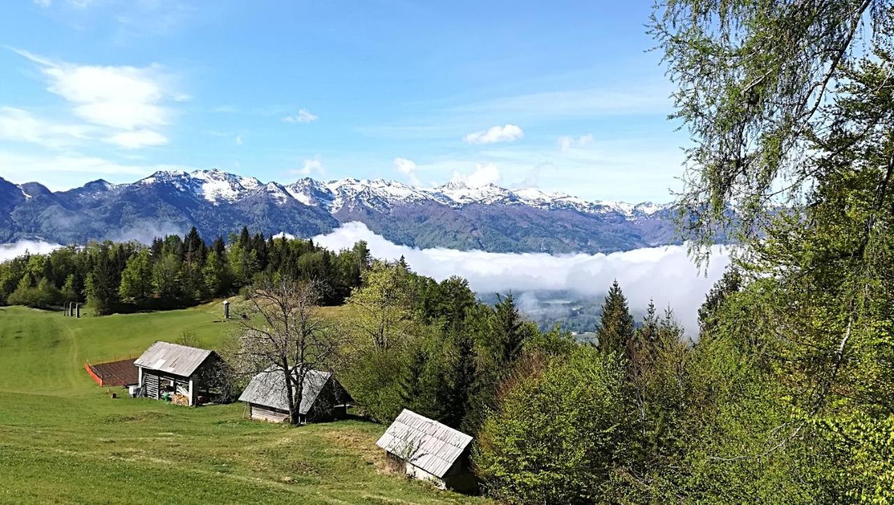 Apartments Pod Rodico Bohinjska Bistrica Exteriér fotografie