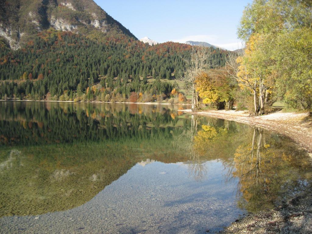 Apartments Pod Rodico Bohinjska Bistrica Exteriér fotografie