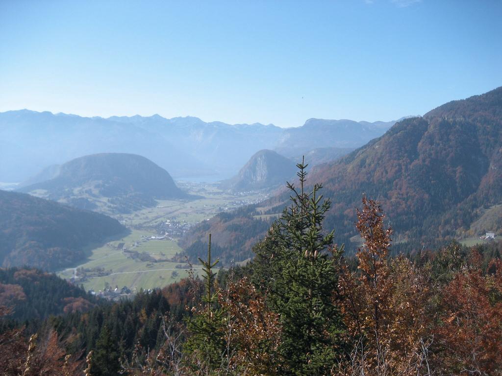 Apartments Pod Rodico Bohinjska Bistrica Exteriér fotografie