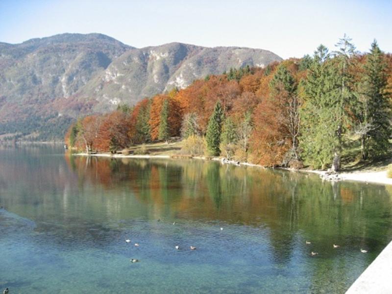 Apartments Pod Rodico Bohinjska Bistrica Exteriér fotografie