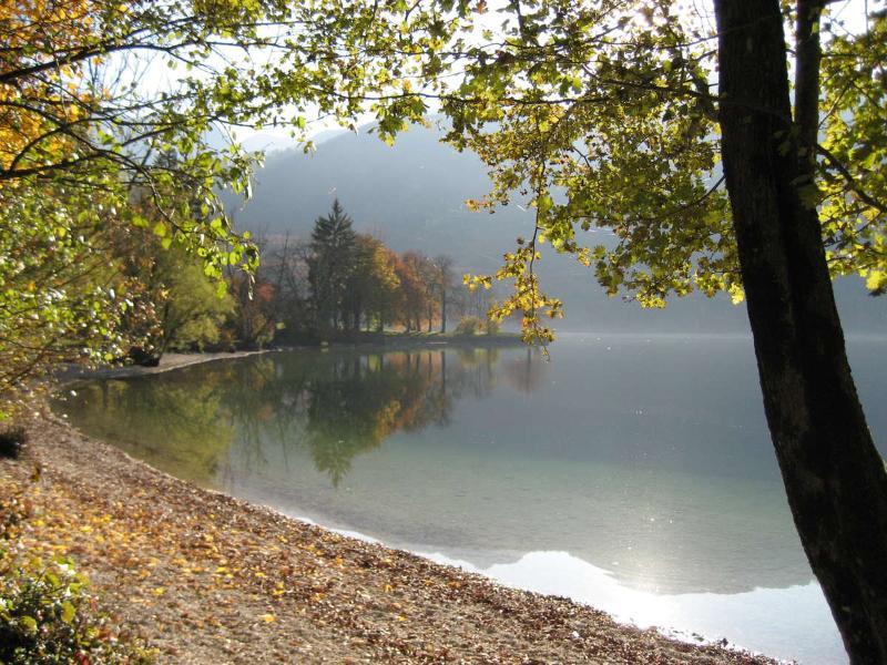 Apartments Pod Rodico Bohinjska Bistrica Exteriér fotografie